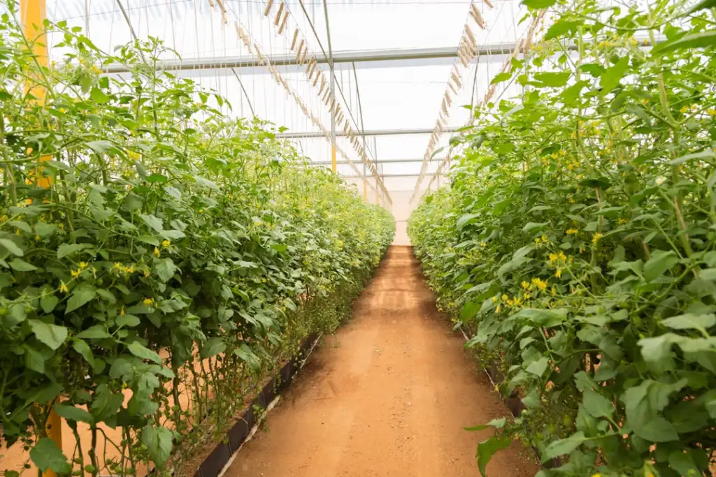 智慧教育背景下南京学校教学设备选型的技术要点解析